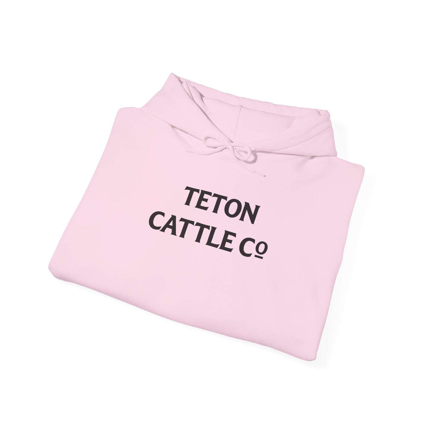 Hoodie — Bear River Cattle Co. Rodeo Bucking Horse Hoodie (Rise Up Stronger Back Print)