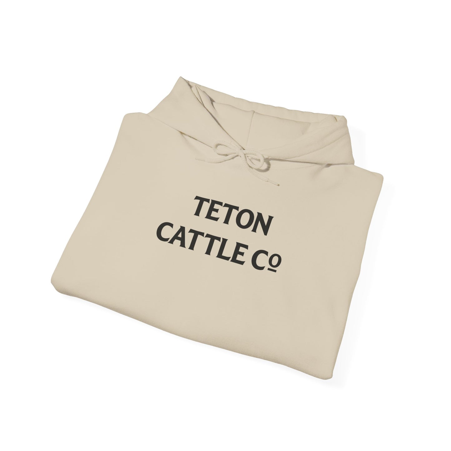 Hoodie — Bear River Cattle Co. Rodeo Bucking Horse Hoodie (Rise Up Stronger Back Print)
