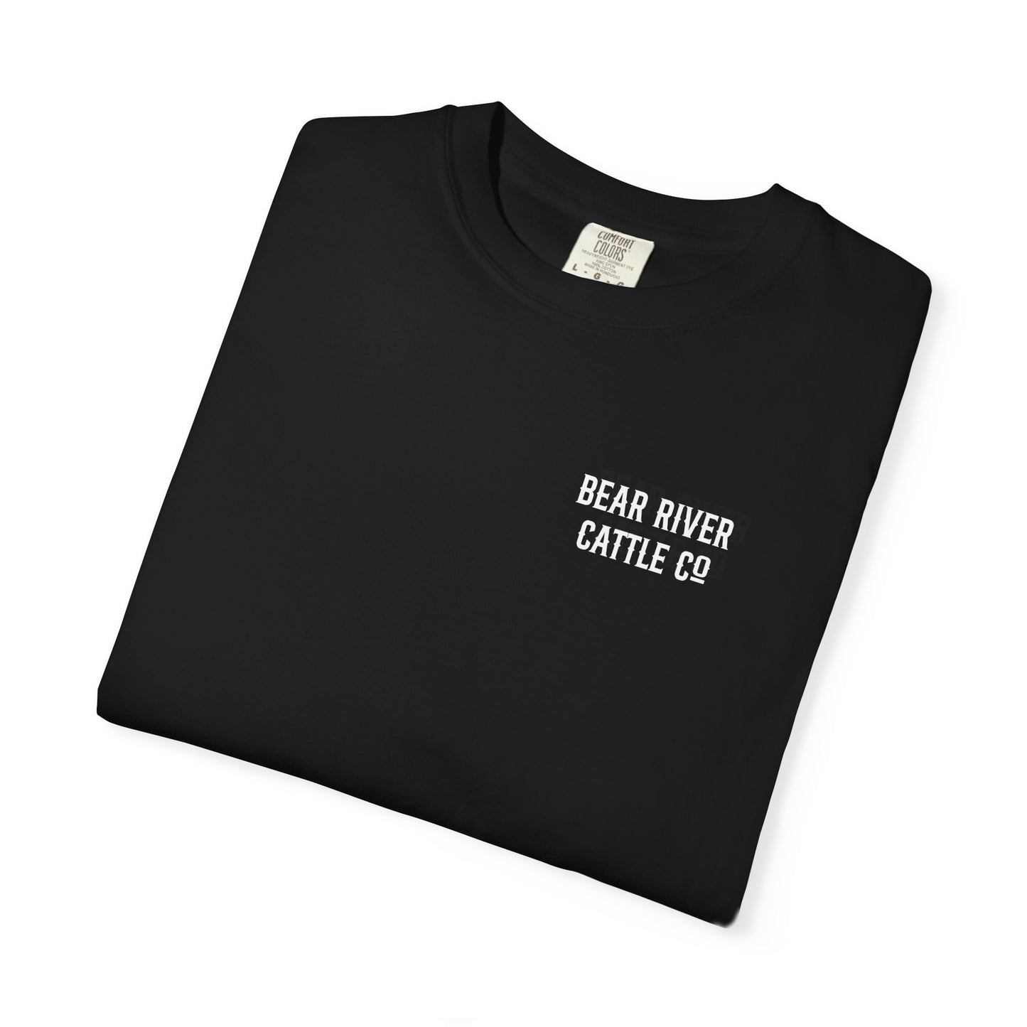 Rearing Mustang T-shirt