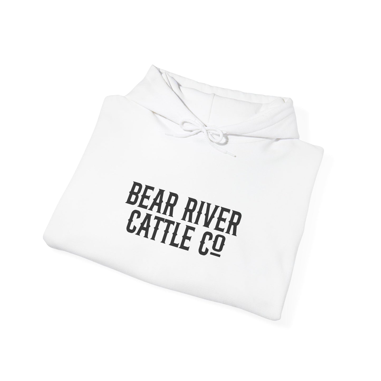 Rank Horses Hoodie