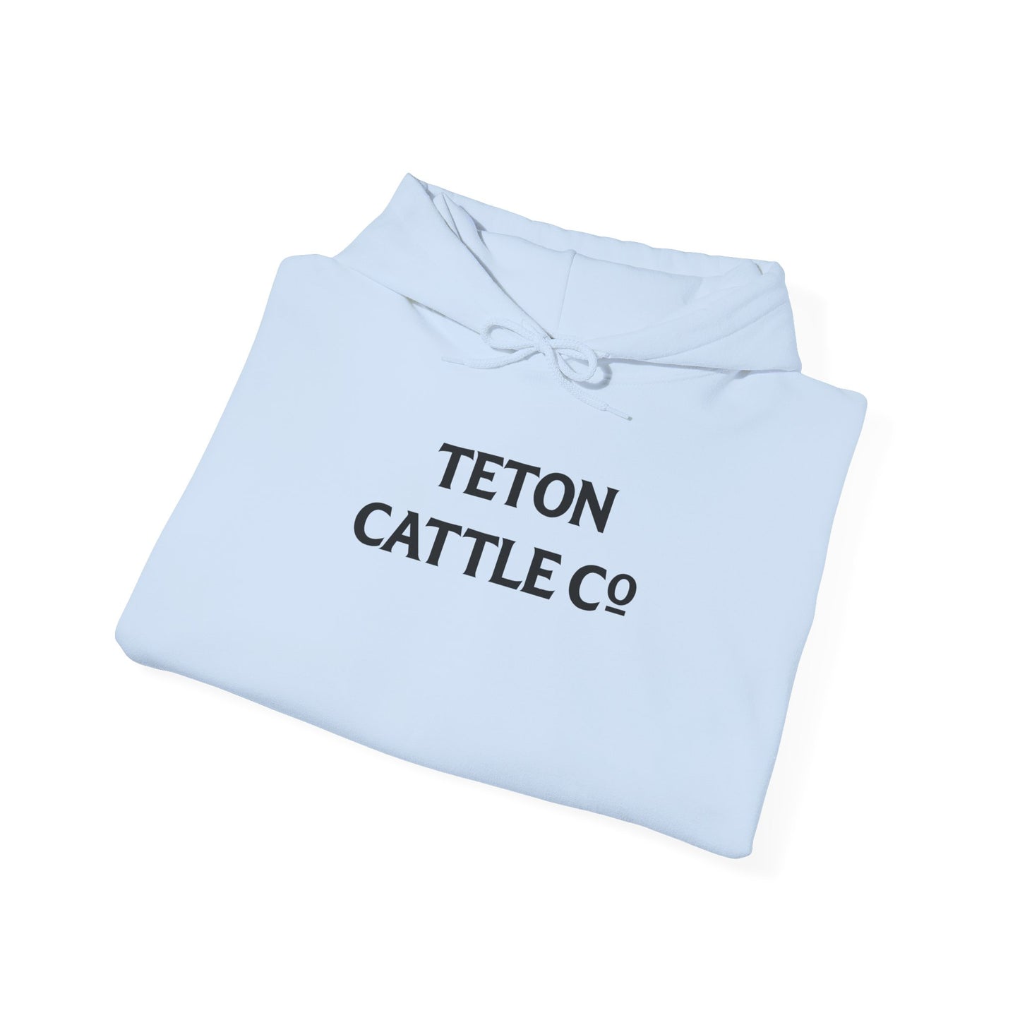 Hoodie — Bear River Cattle Co. Rodeo Bucking Horse Hoodie (Rise Up Stronger Back Print)