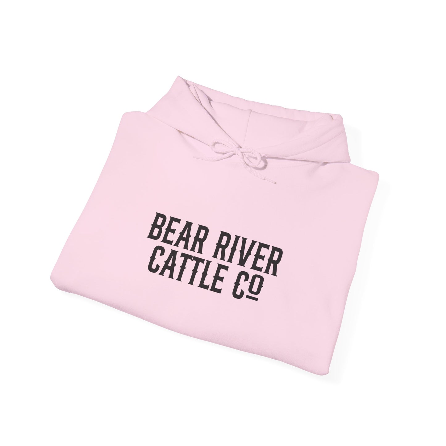 Rank Horses Hoodie