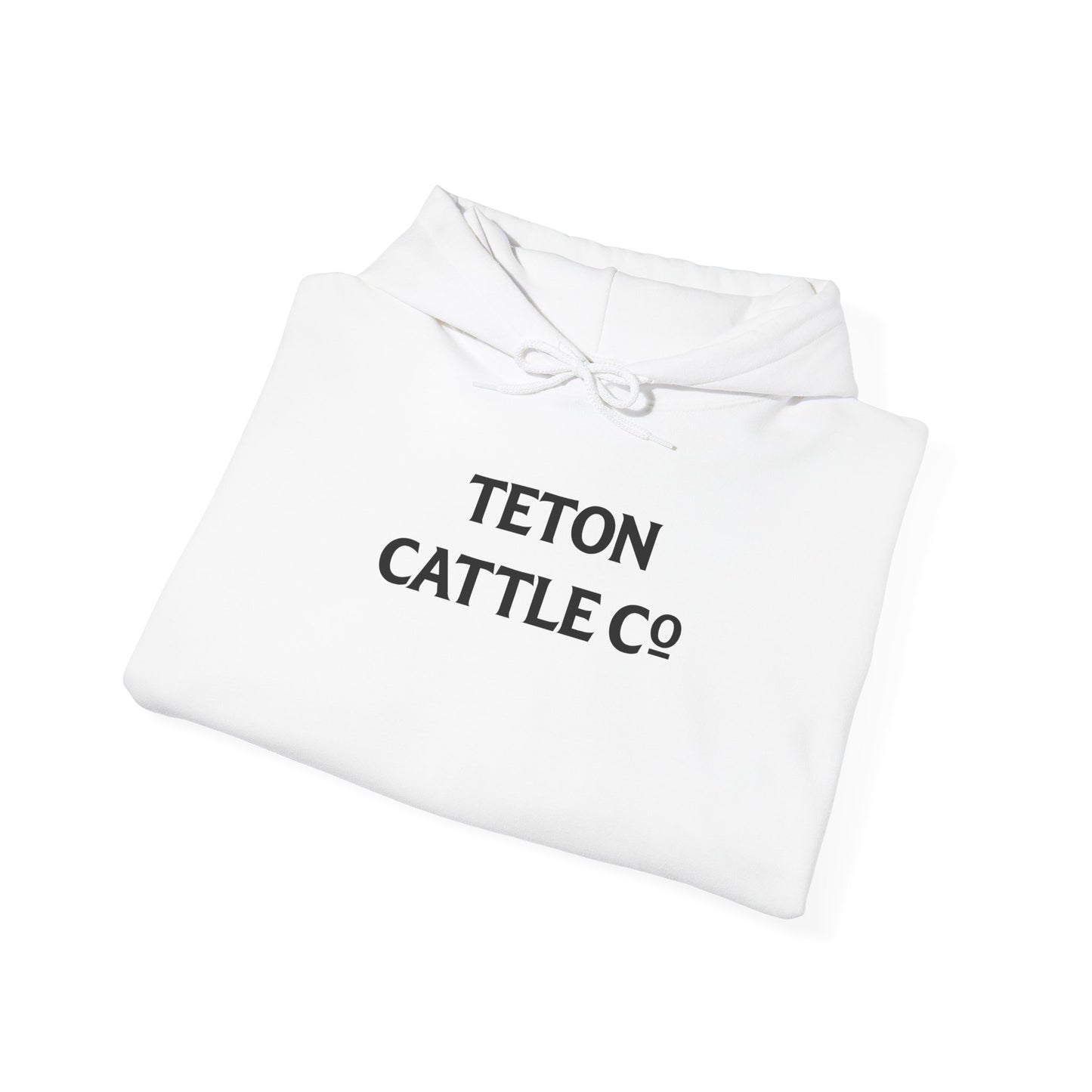 Hoodie — Bear River Cattle Co. Rodeo Bucking Horse Hoodie (Rise Up Stronger Back Print)