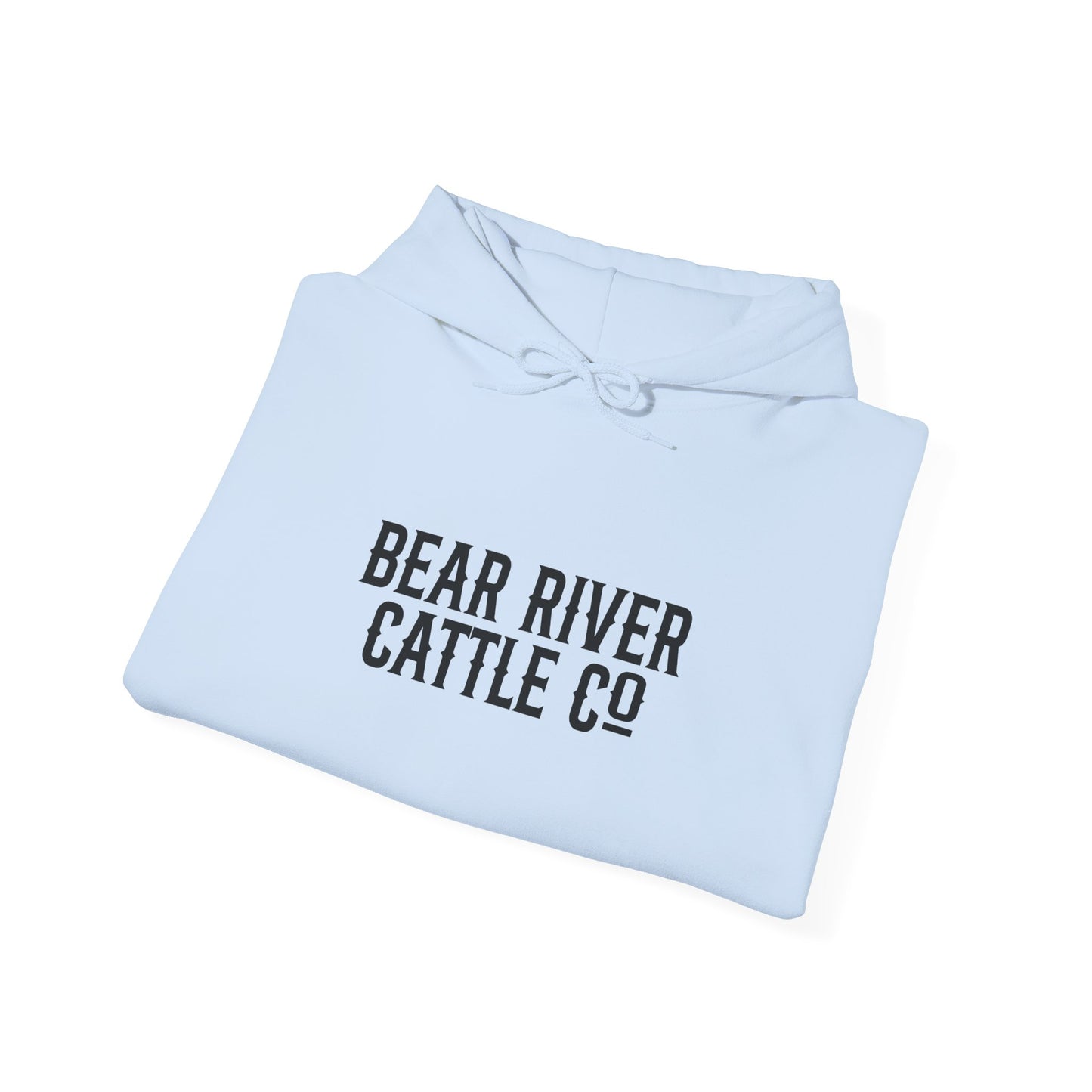 Rank Horses Hoodie