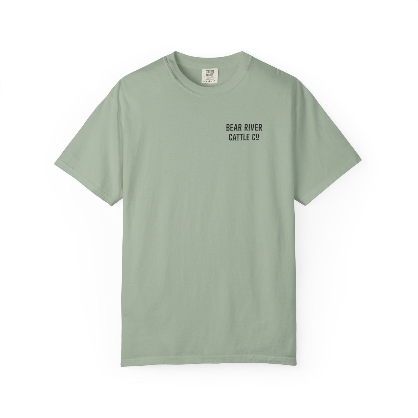 Rearing Mustang T-shirt