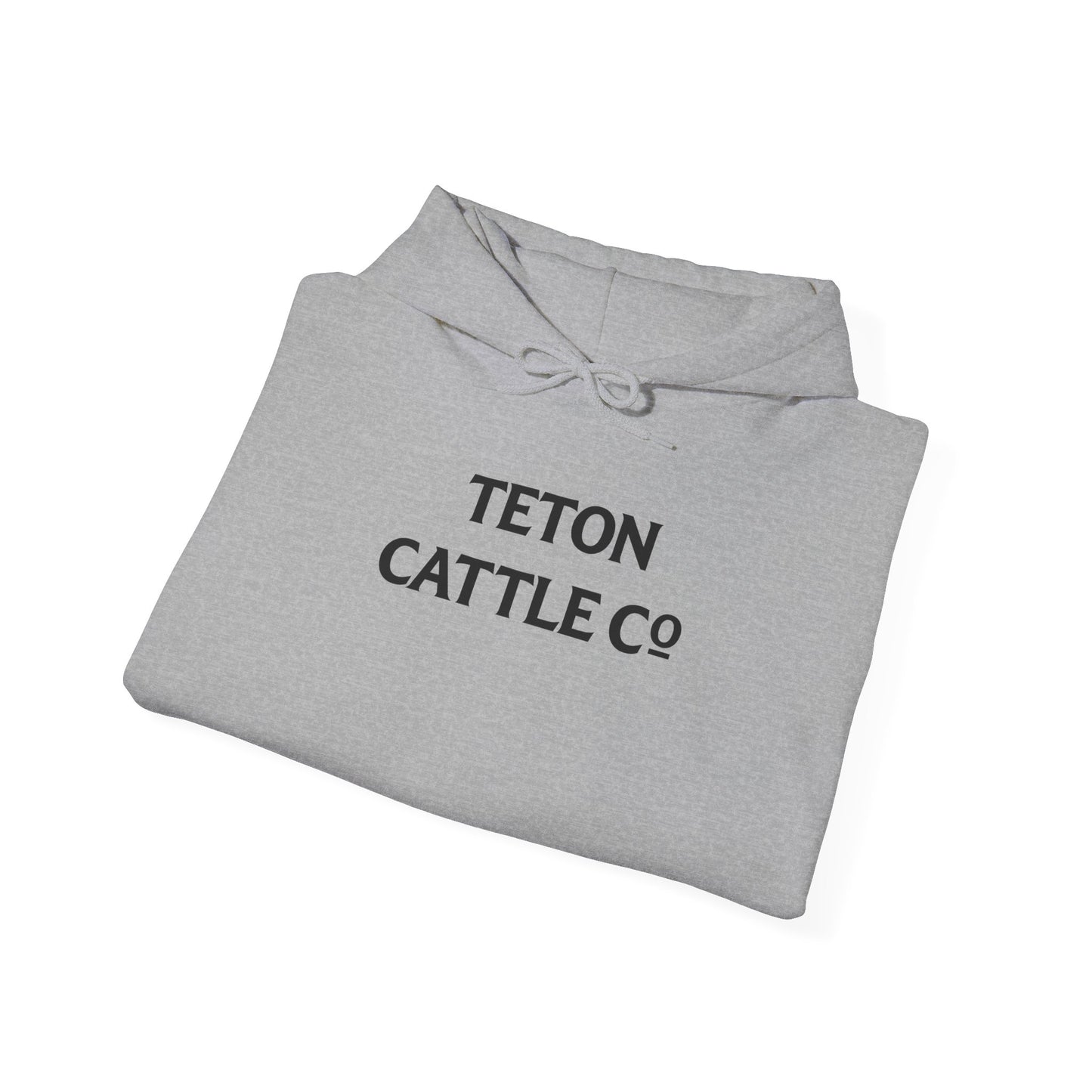 Hoodie — Bear River Cattle Co. Rodeo Bucking Horse Hoodie (Rise Up Stronger Back Print)