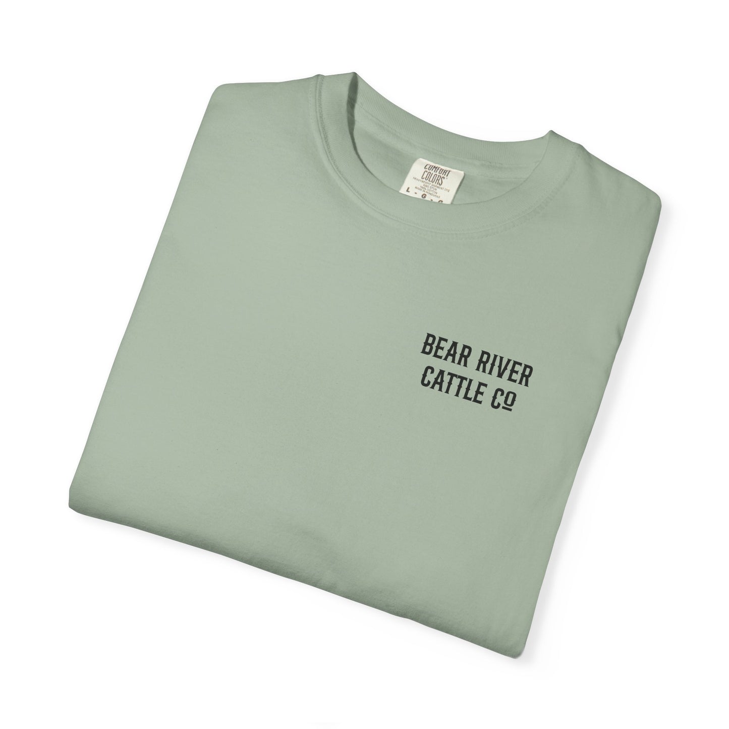 Rearing Mustang T-shirt