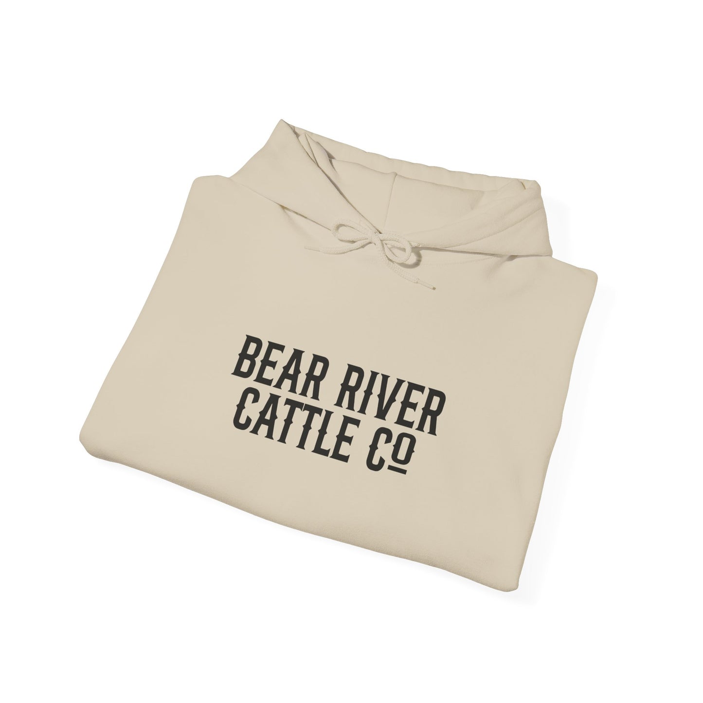 Rank Horses Hoodie
