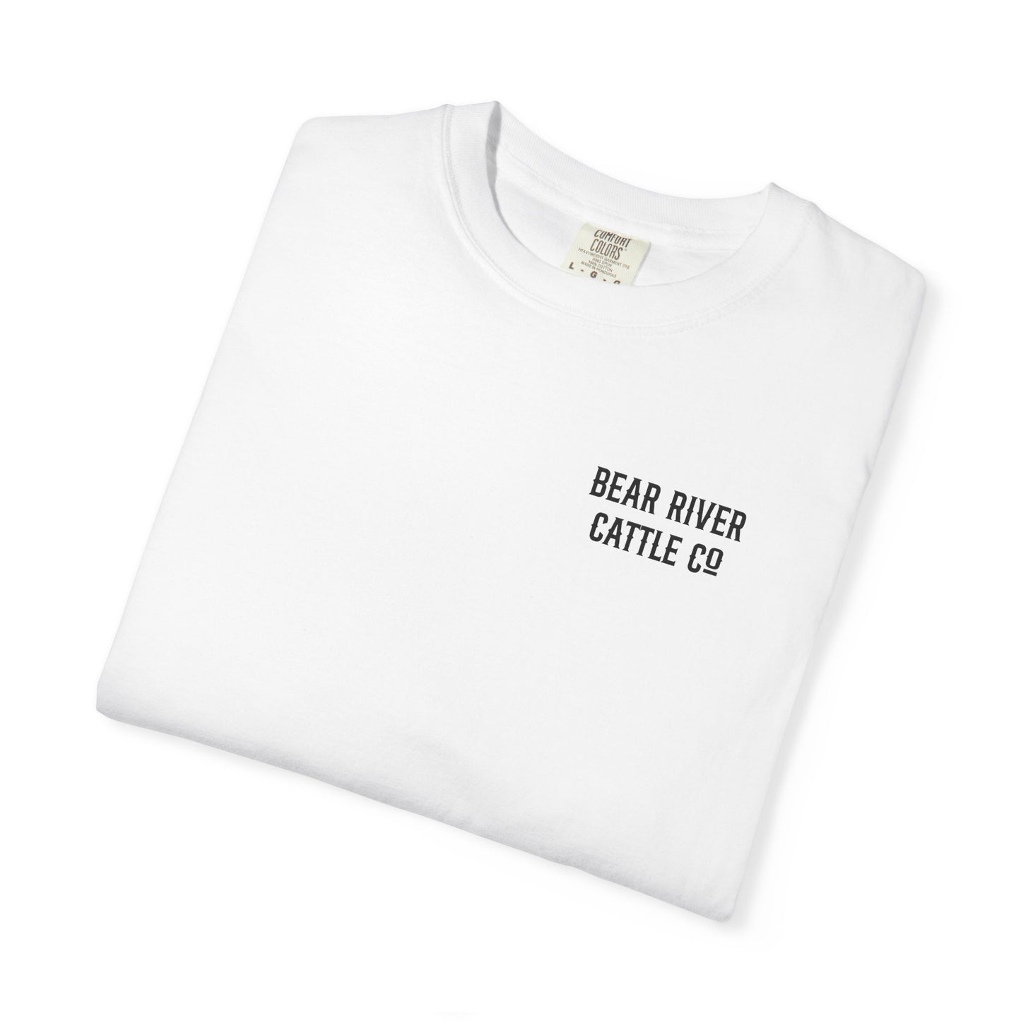 Rearing Mustang T-shirt