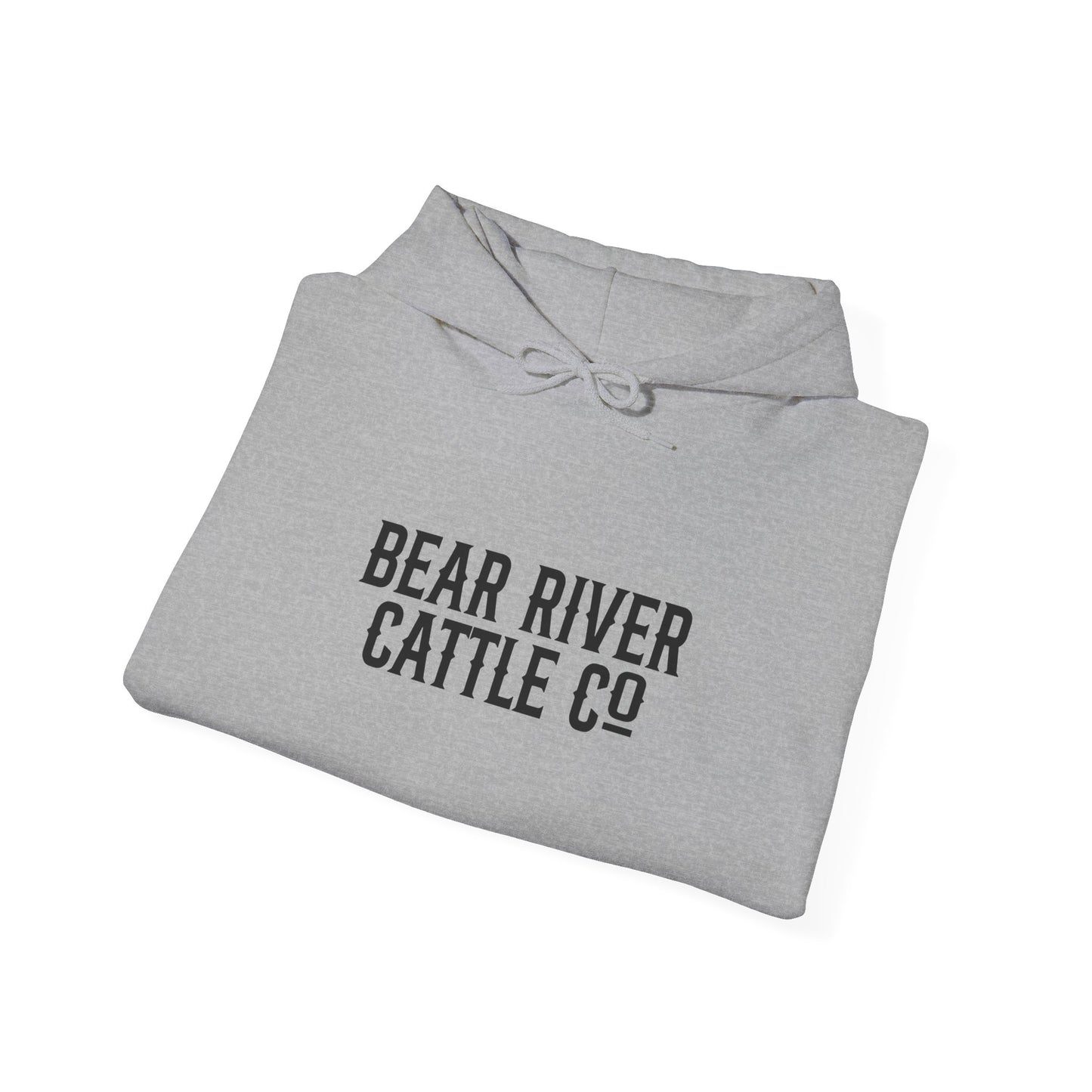 Rank Horses Hoodie